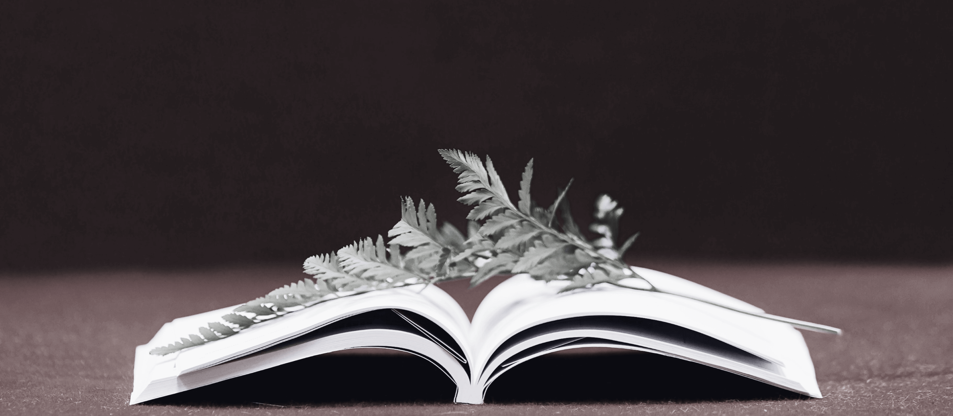 A book with a leaf on top